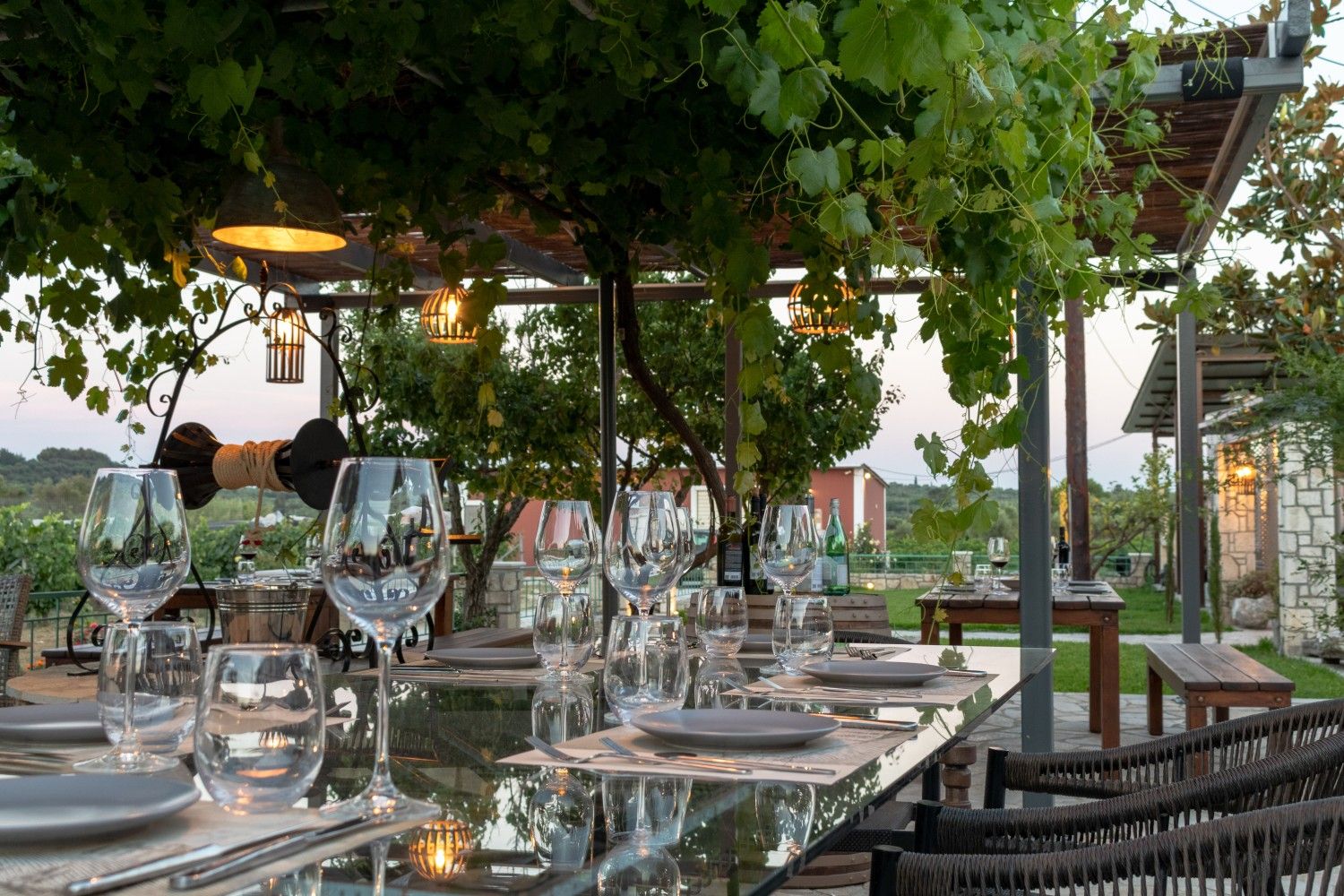 picture from activity Zakynthos Wine & Dine Experience