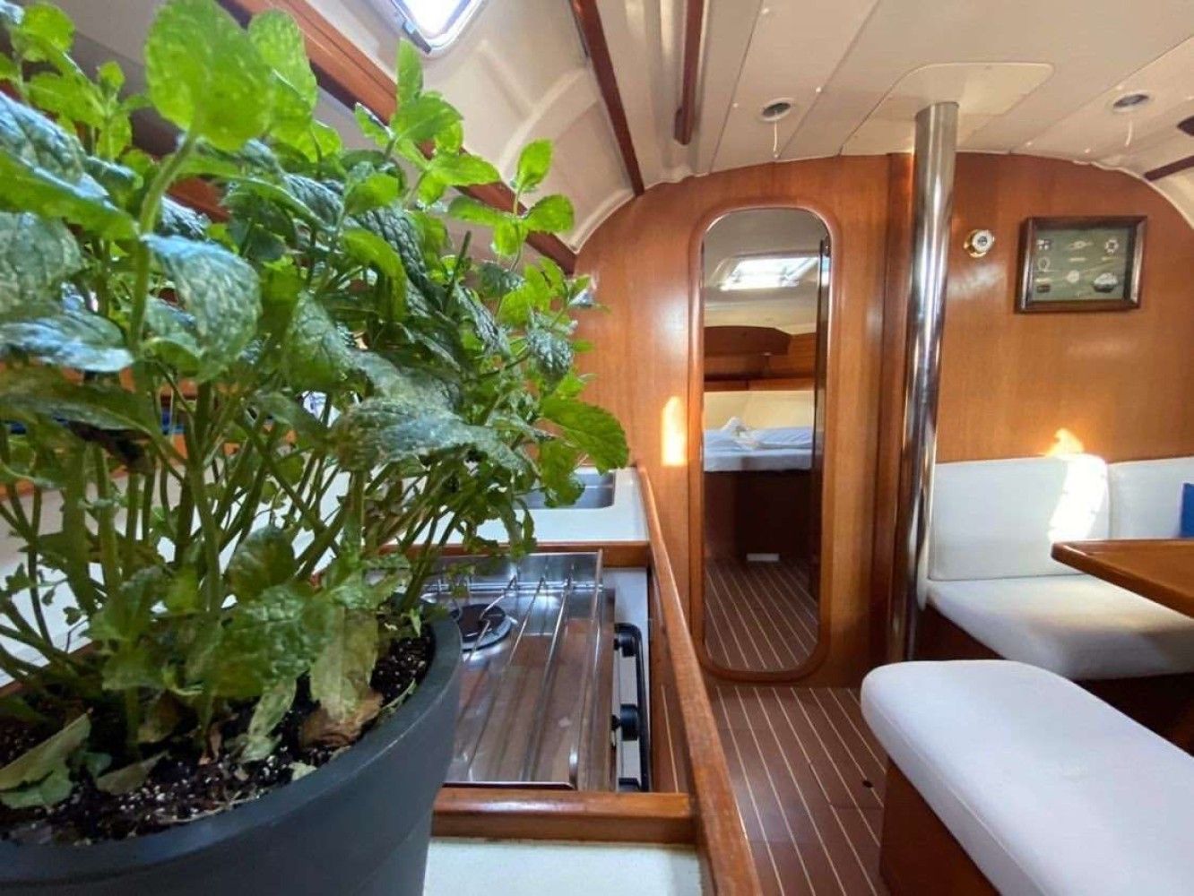picture from activity Marathonisi & Keri Caves Cruise with Dufour 38,5 Sailing Yacht