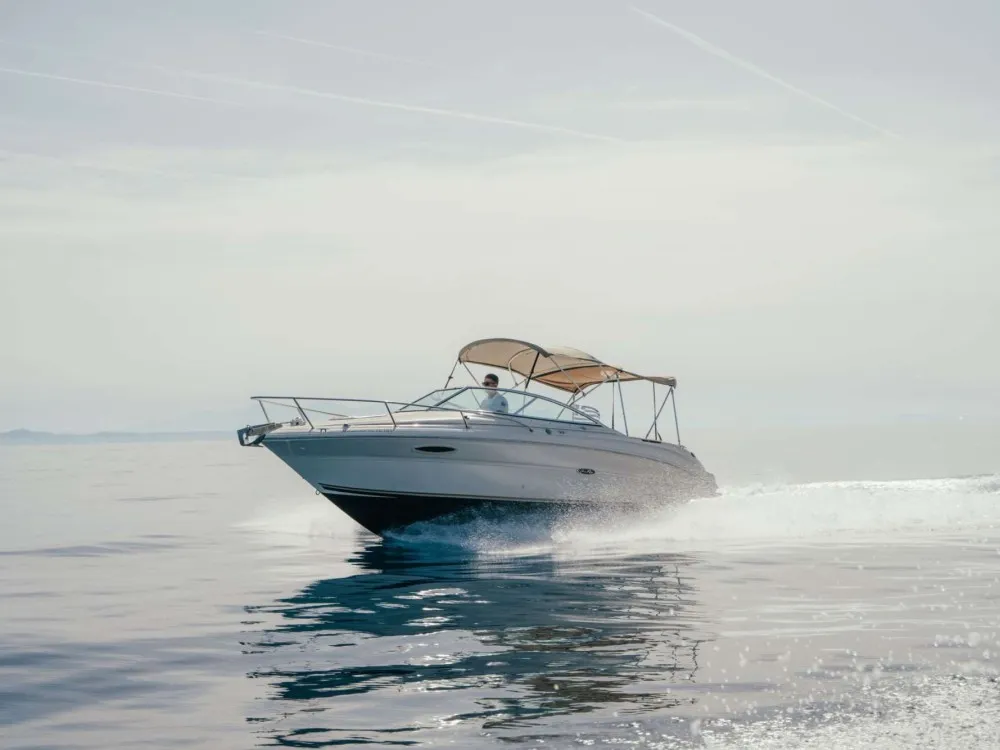 undefined Sea Ray 750